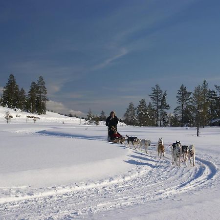 Alevi Camping Stöllet Esterno foto