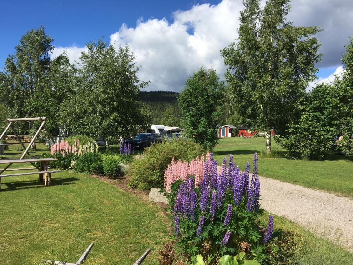 Alevi Camping Stöllet Esterno foto